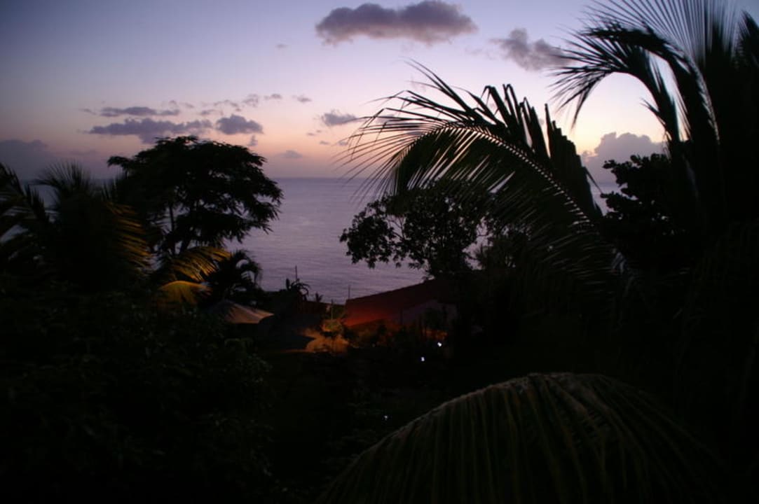 Garten in Dämmerung Tamarind Tree Hotel