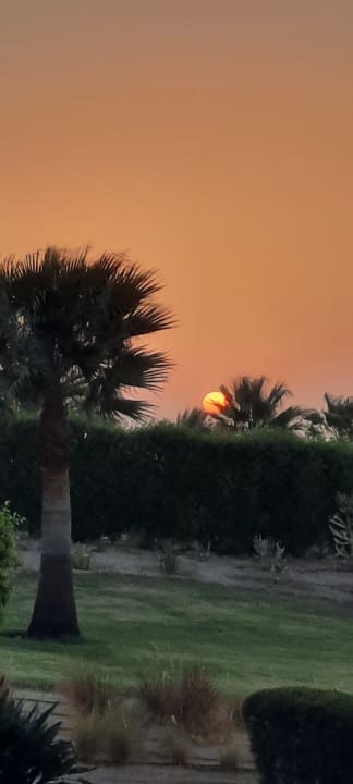 Ausblick Steigenberger Makadi Hotel - Adults only