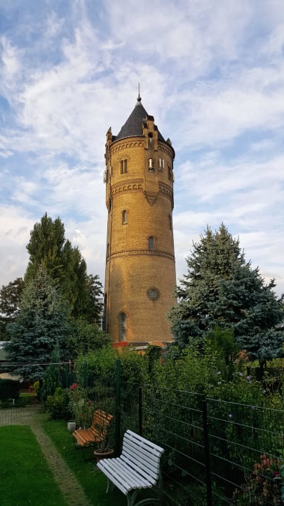 Blick in den Garten Ferienwohnung in Zwenkau