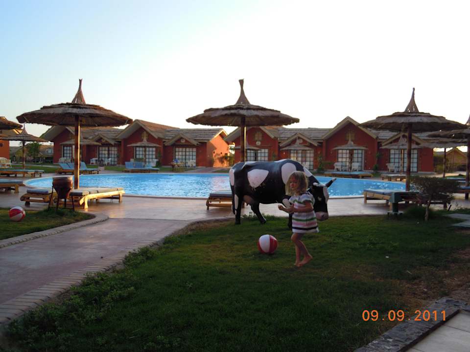Vom Zimmer auf den Pool Pickalbatros Jungle Aqua Park Resort - Neverland Hurghada