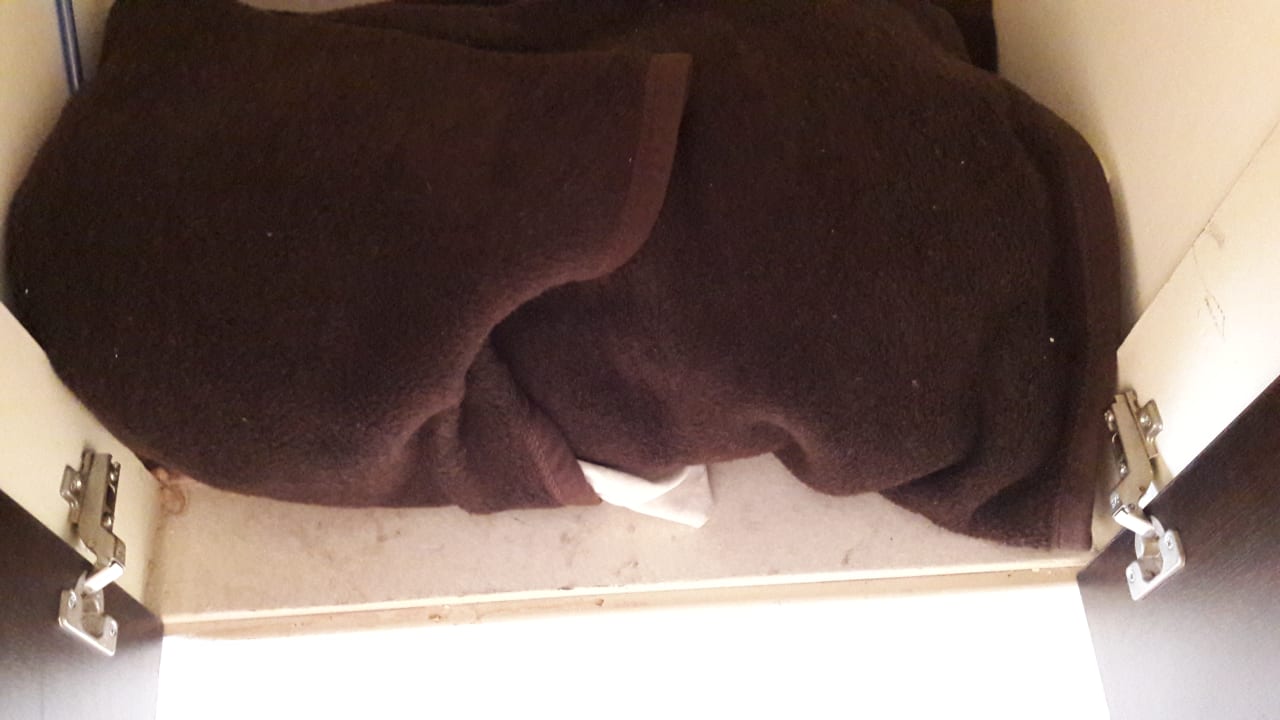 Zimmer Palmiye Hotel