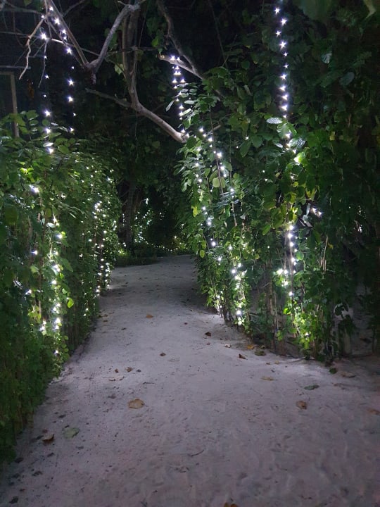 Gartenanlage Angaga Island Resort