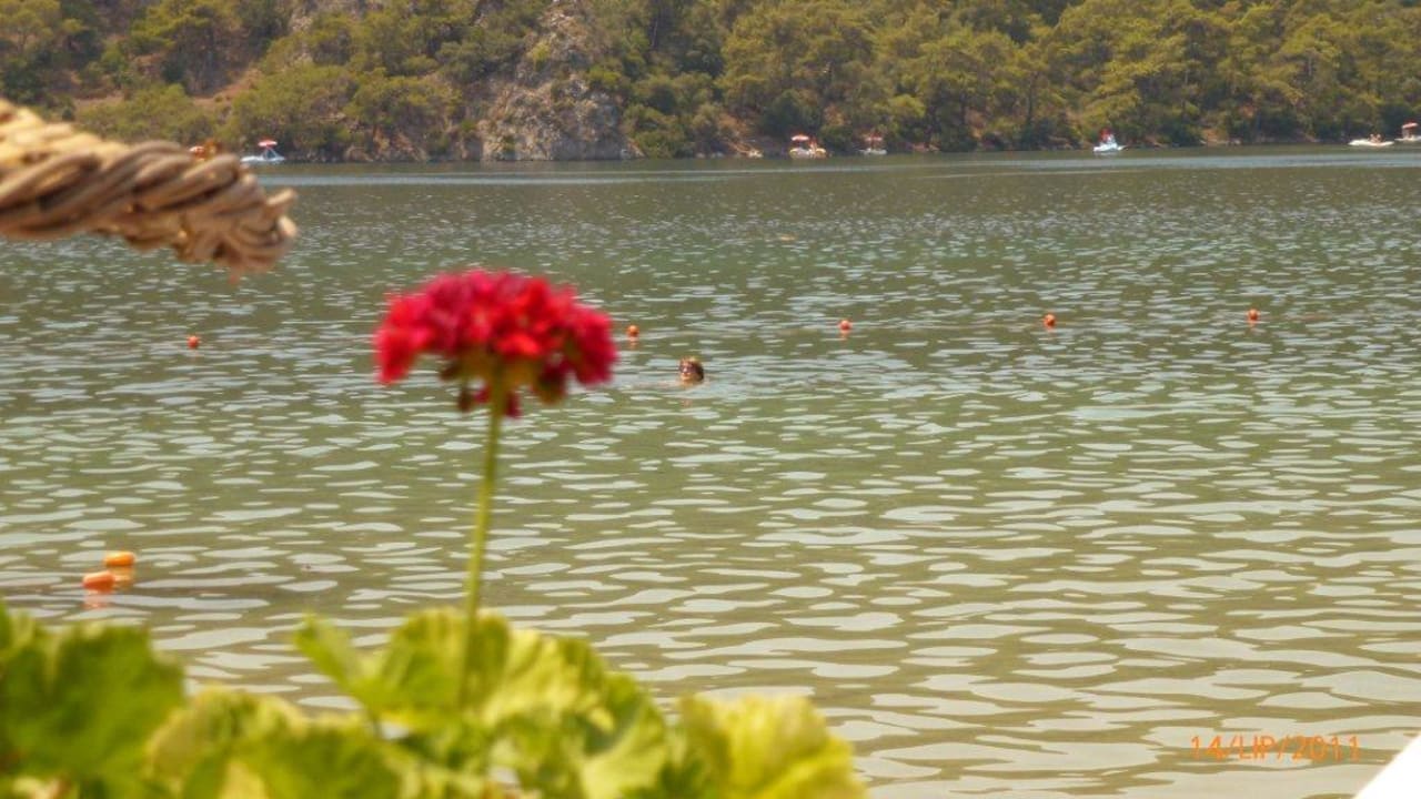Widok z leżaczka Hotel Meri
