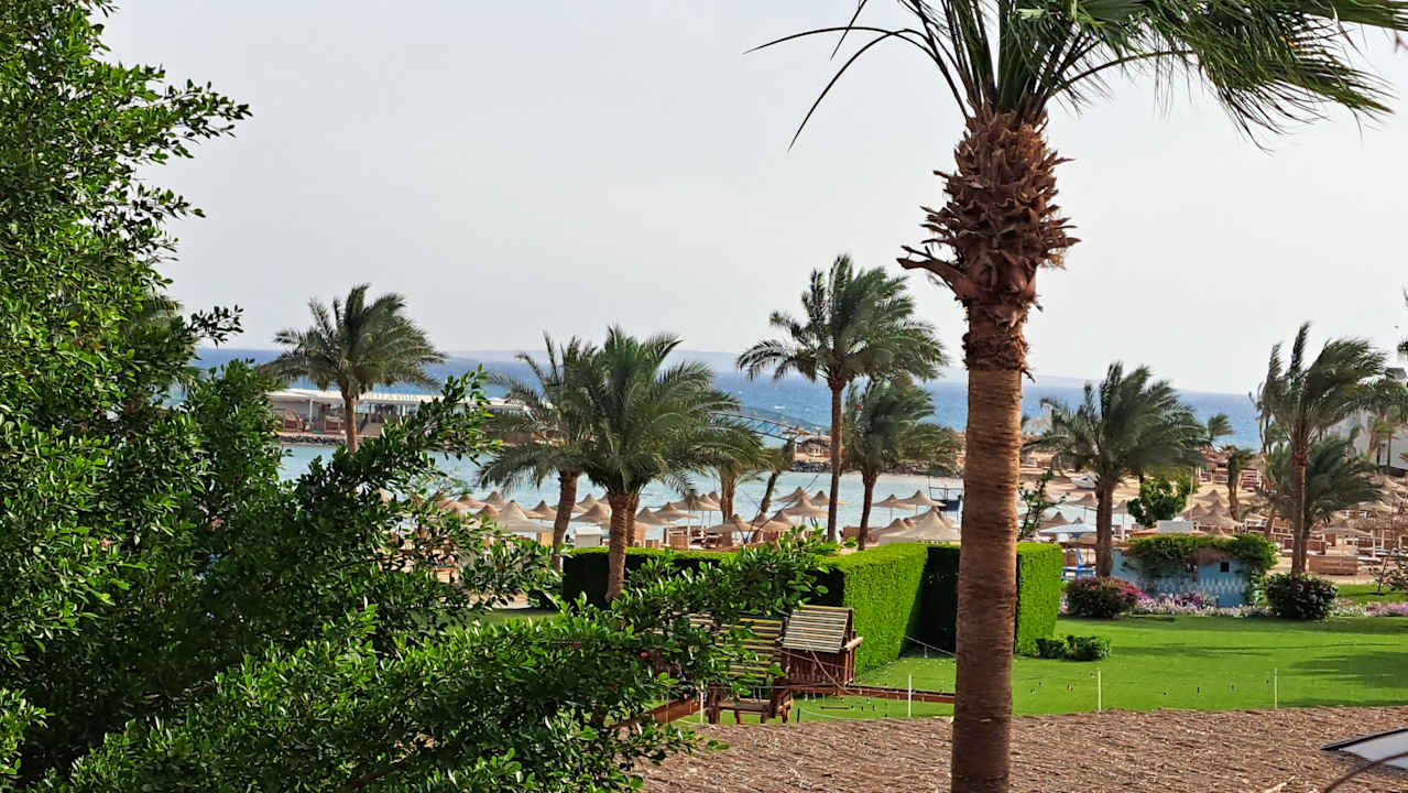 Ausblick Desert Rose