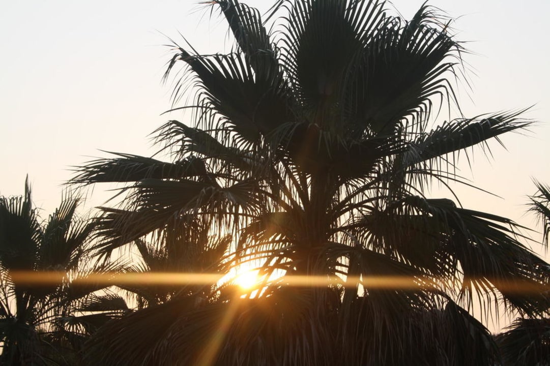 Garten Hotel Orfeus Park