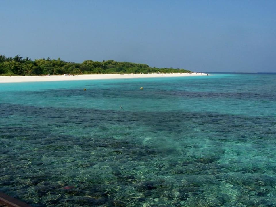 Blick vom Steg Adaaran Select Meedhupparu Island Resort - Premium All Inclusive