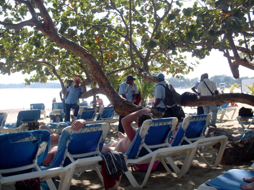 Am Strand Sunscape Puerto Plata