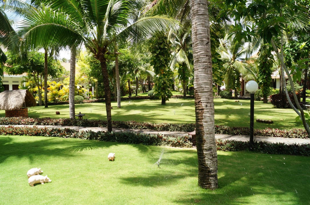 В саду очень красиво Hotel Bon Bien Resort