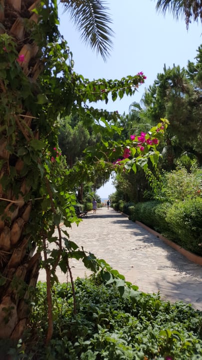 Gartenanlage Club Turtas Beach Hotel