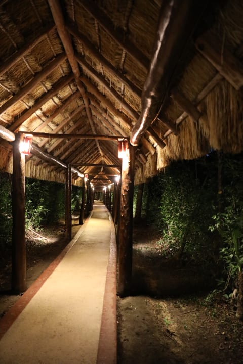 Gartenanlage Grand Palladium Select White Sand Resort & Spa