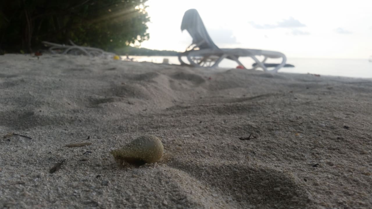 Süß  Kuramathi Maldives