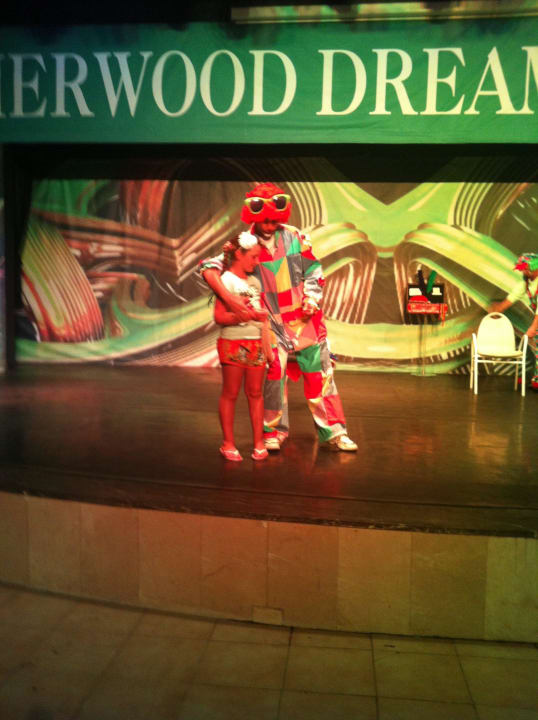 Вечернее представление для детей. Sherwood Dreams Resort