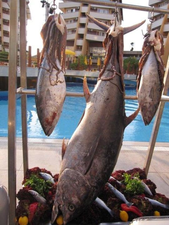 Codziennie swieze jedzenie Alaiye Resort & Spa