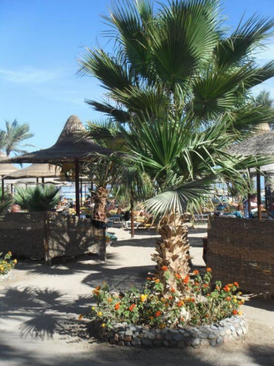 Am Hotelstrand Giftun Azur Resort