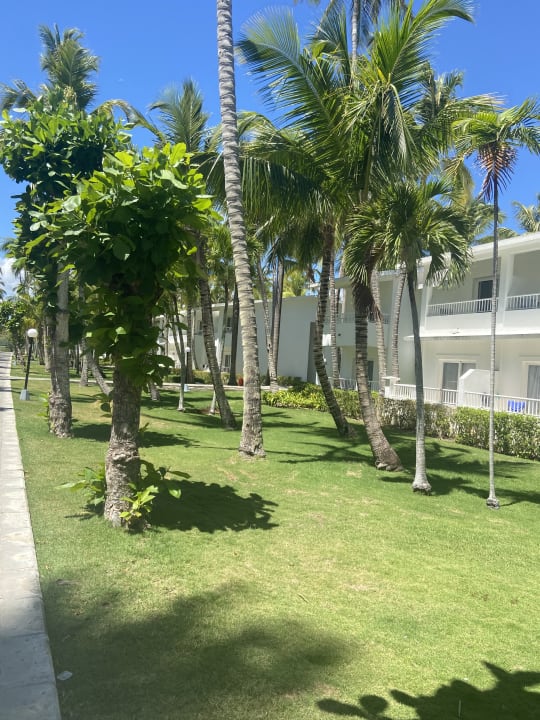 Außenansicht Hotel Riu Bambu