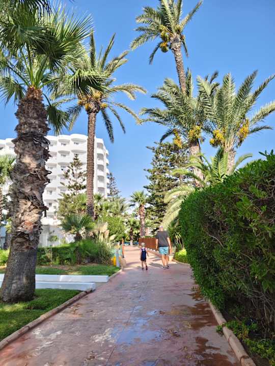 Gartenanlage Sahara Beach Aquapark & Resort