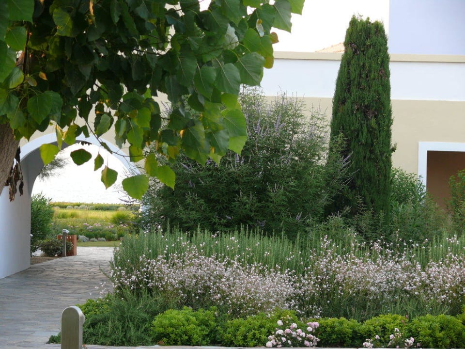 Gepflegter Garten Neptune Luxury Resort