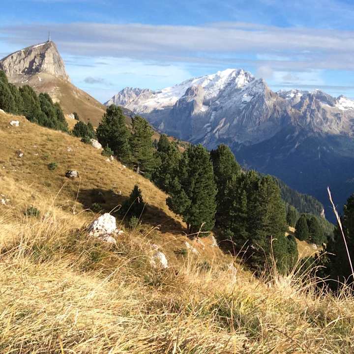 "Die Umgebung" Hotel Friedrich August