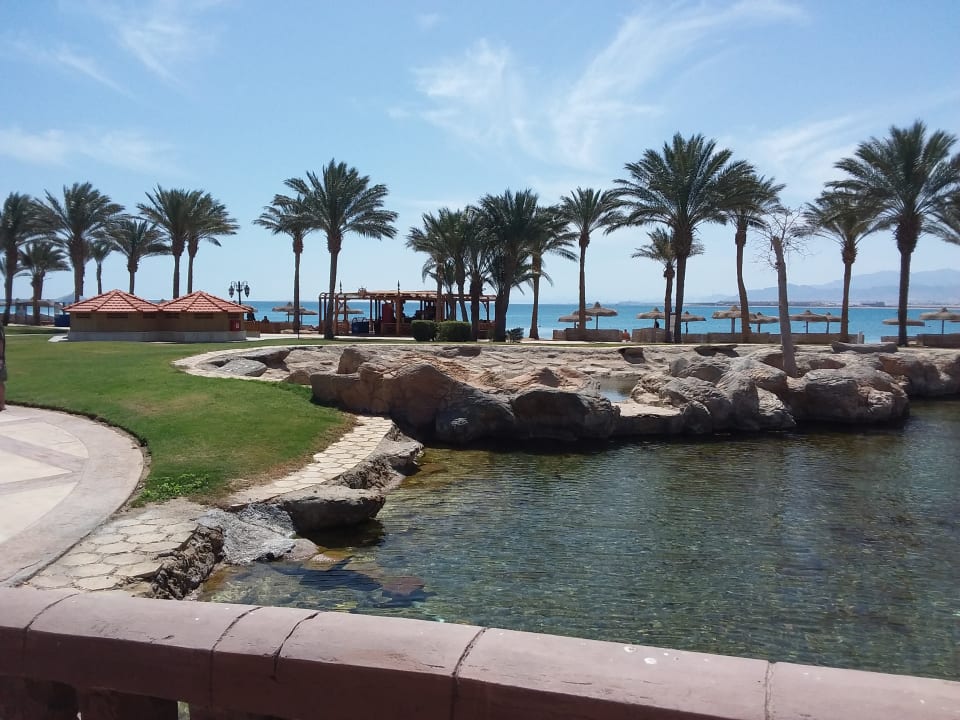 Gartenanlage Palm Royale Resort - Soma Bay