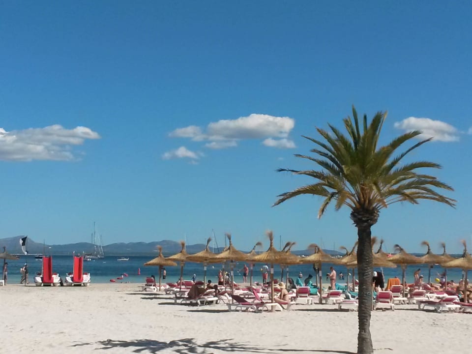 Blick zum Sandstrand VIVA Golf - Adults only 18+