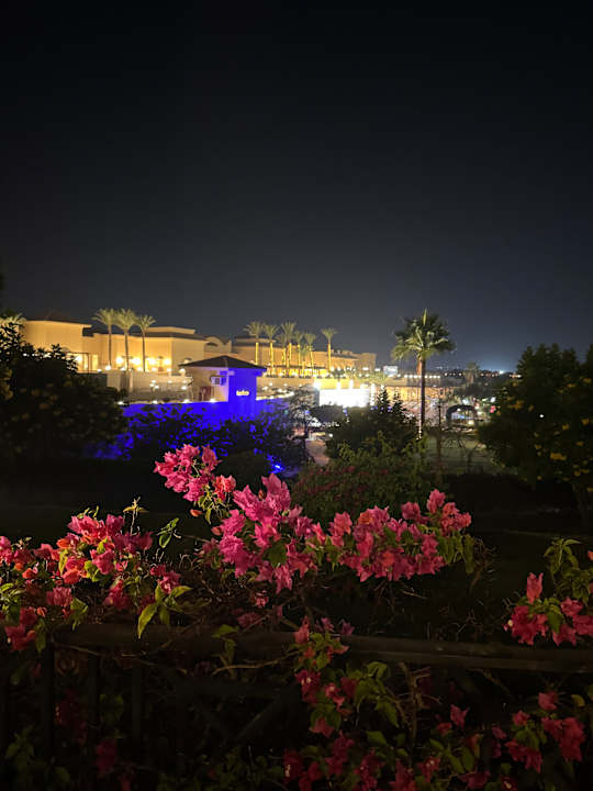 Gartenanlage Cleopatra Luxury Beach Resort Makadi Bay - Adults only