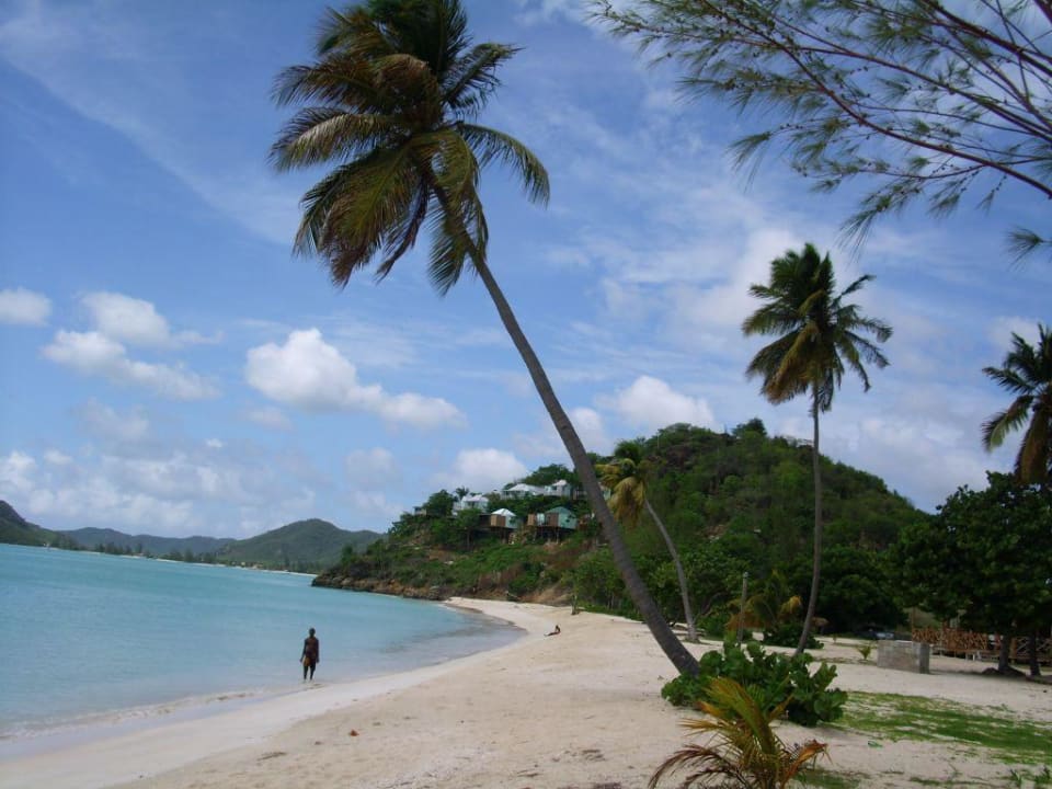 Blick auf den "Hotel Cocos"-Berg Cocos Hotel Antigua - Adults Only