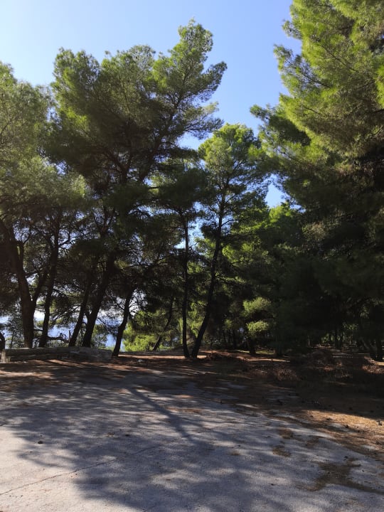 Ausblick Philoxenia Hotel