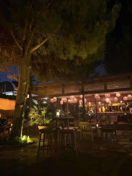 Gastro Arum Barut Collection