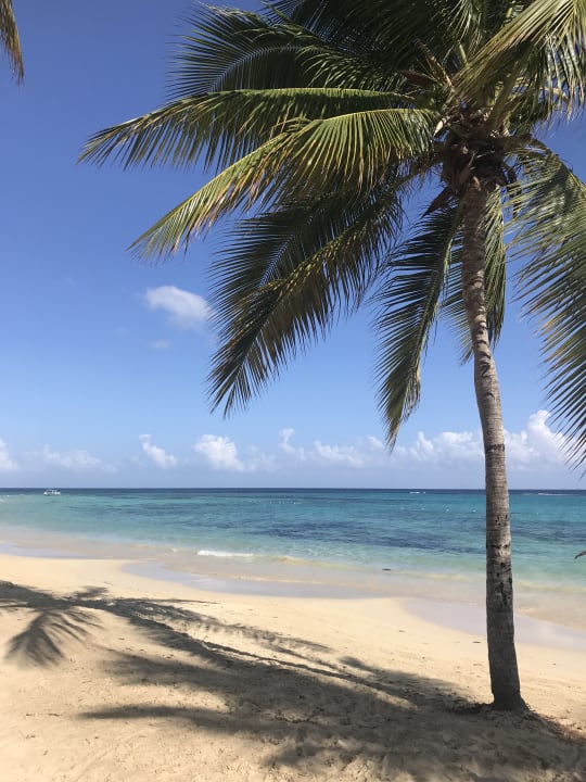 Strand Hotel Riu Ocho Rios