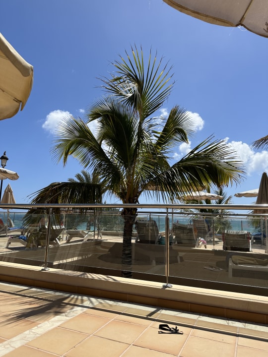 Gartenanlage SBH Hotel Taro Beach