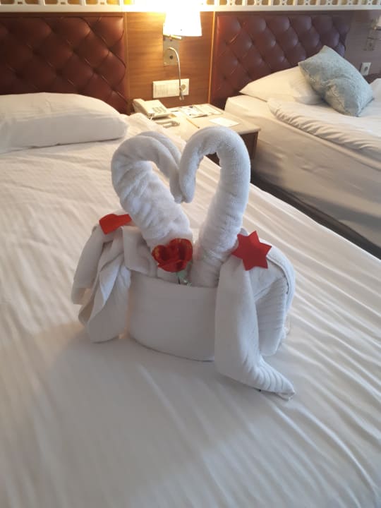 Zimmer Royal Taj Mahal Hotel