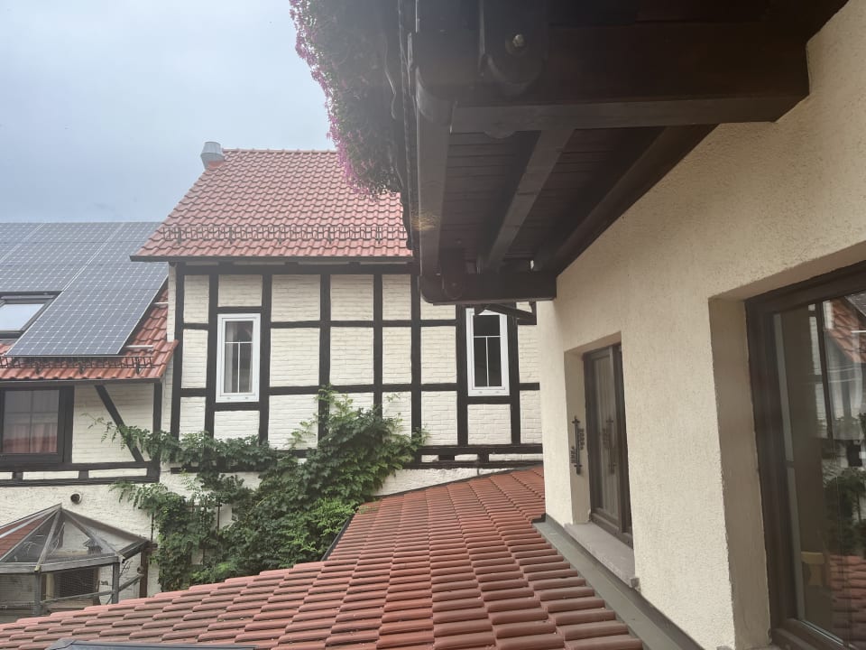Ausblick Zur Grünen Eiche
