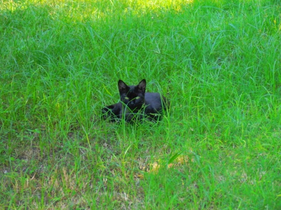 Sonstiges Hotel Defne Garden