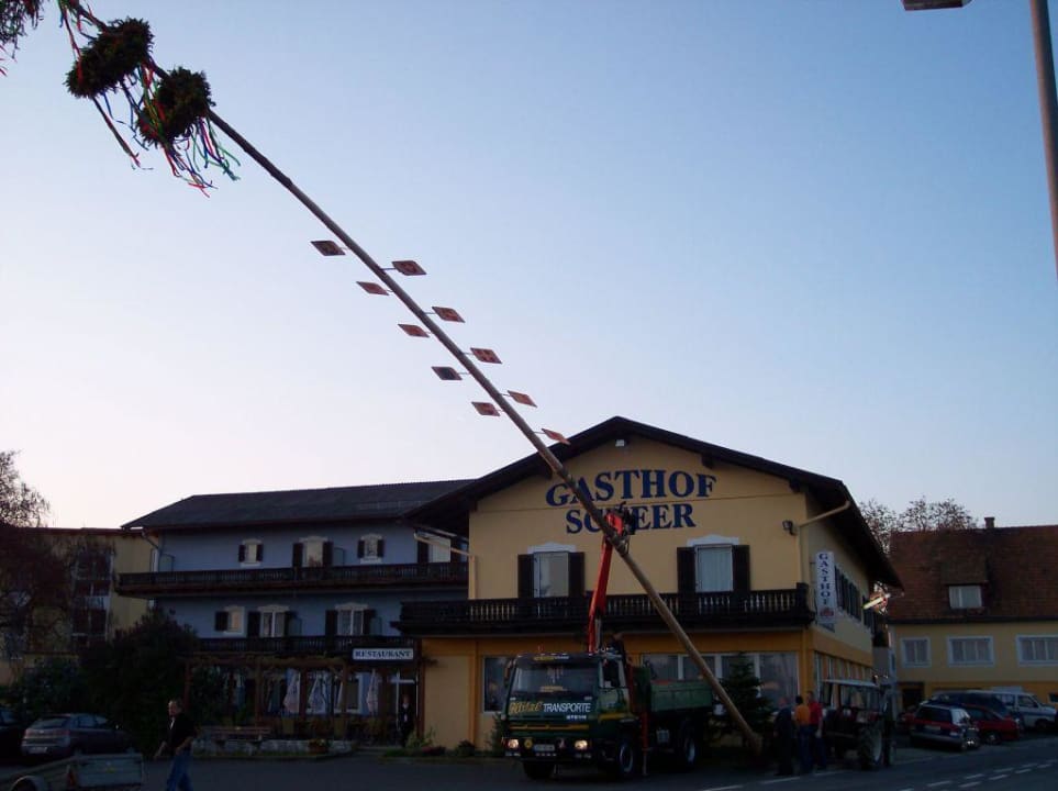 Maibaum aufstellen Hotel Gasthof Scheer
