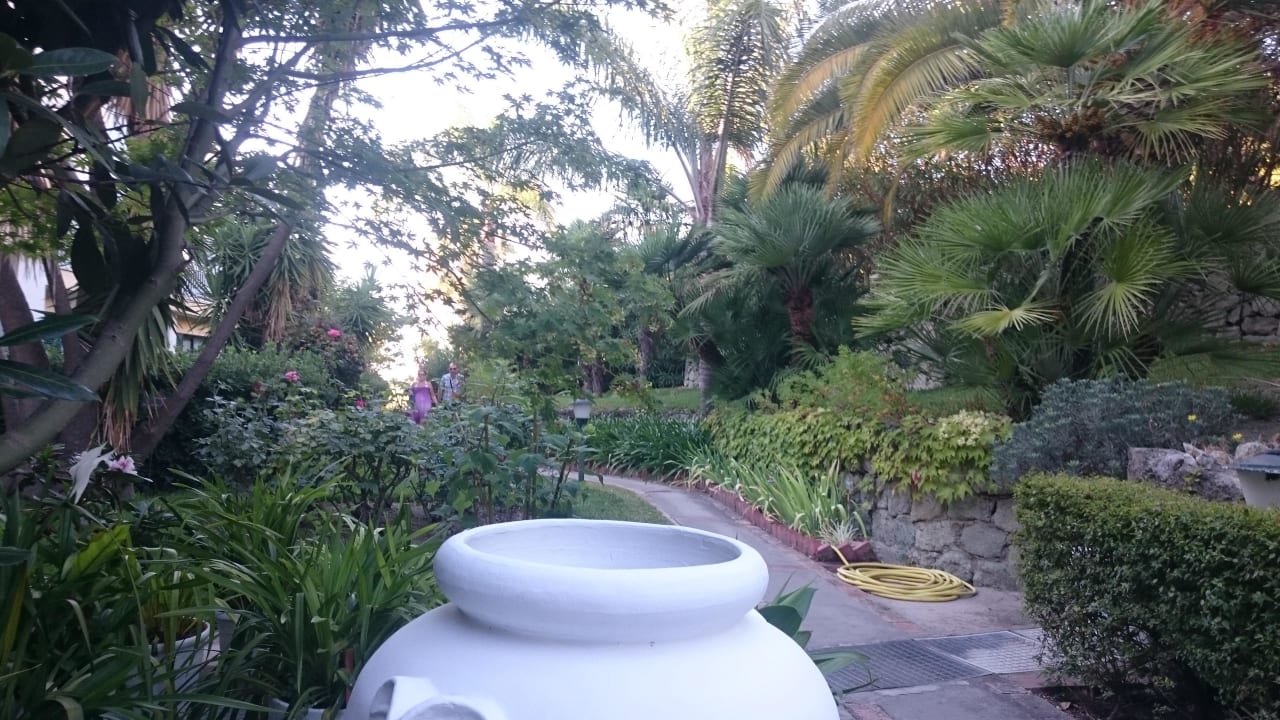 Gartenanlage Eingang Hotel Paradiso Terme Resort & SPA