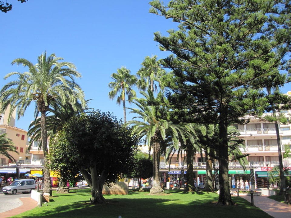 Blick richtung Einkaufsstrasse CM Playa del Moro