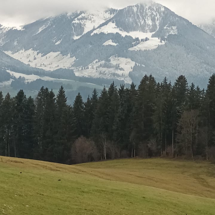 Ausblick Wohlfühlresort Peternhof