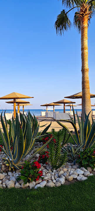 Strand Shams Prestige Abu Soma-Adults Only