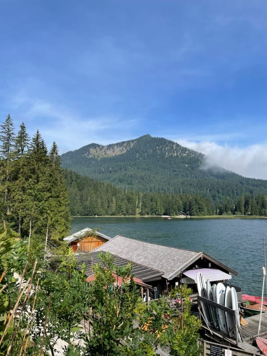 Gartenanlage Alm- & Wellnesshotel Alpenhof