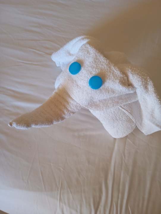 Sonstiges Coral Hills Resorts & SPA