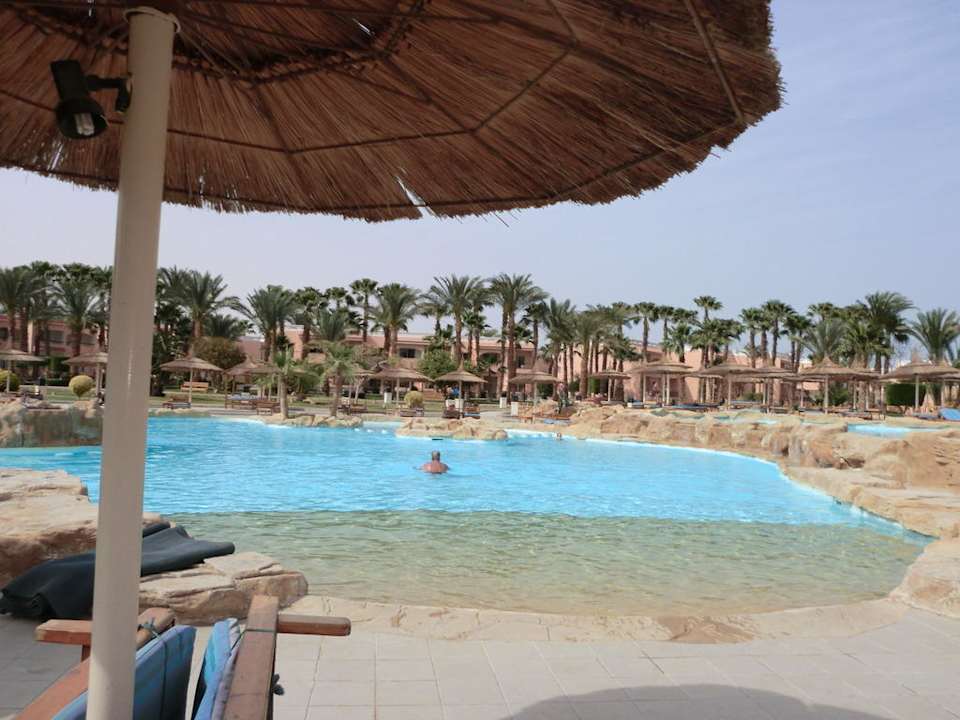 Pool Beach Albatros Resort
