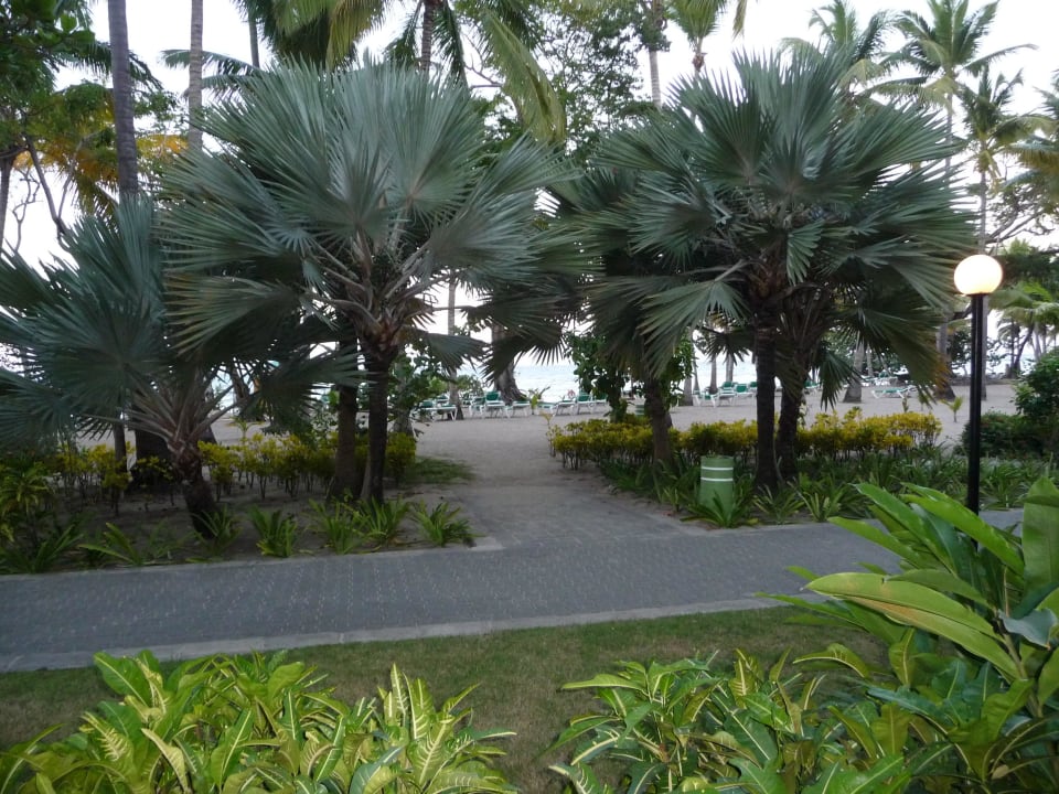 Ausblick vom Zimmer Playabachata Hotel