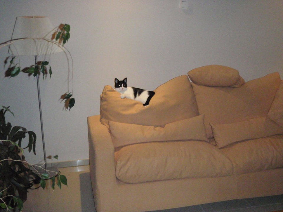 Katze Bikini Island & Mountain Hotel Es Trenc