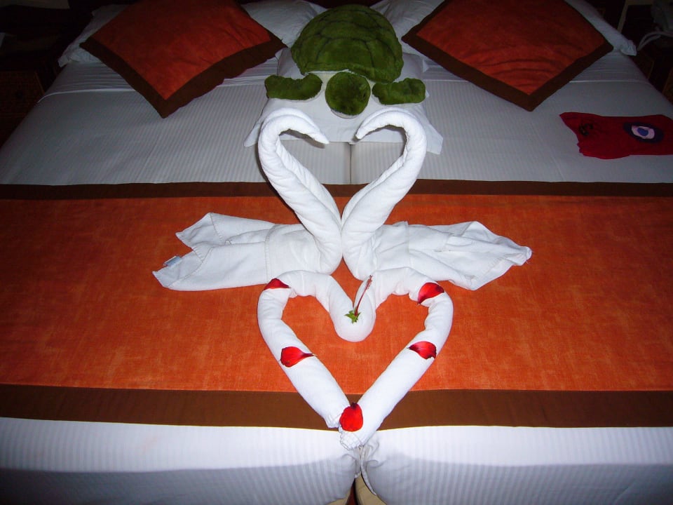  ohne worte Hotel Riu Touareg