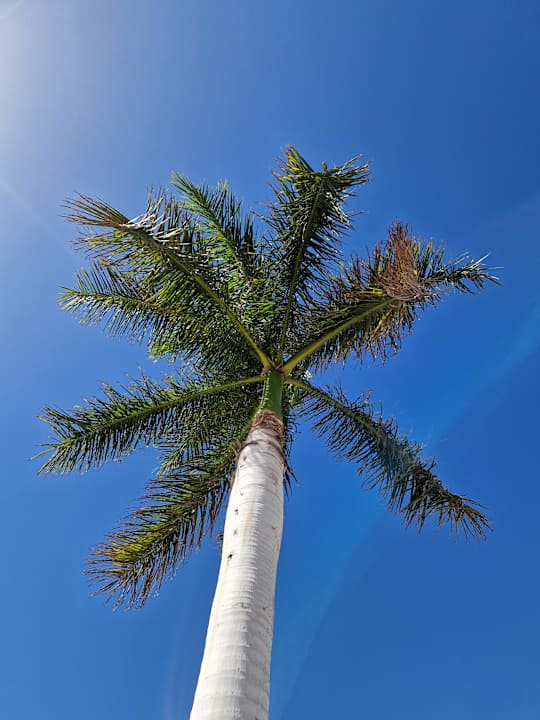 Außenansicht Bahia Principe Fantasia Tenerife