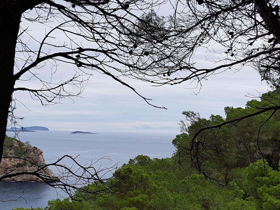 Ausblick Palladium Hotel Cala LLonga - Adults only