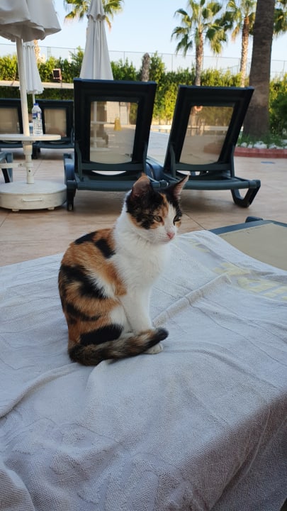 Sonstiges Hane Family Resort