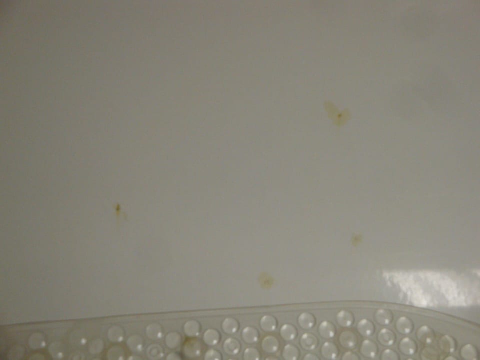 Rostflecken in der Badewanne Hotel Park Inn Pulkovskaya