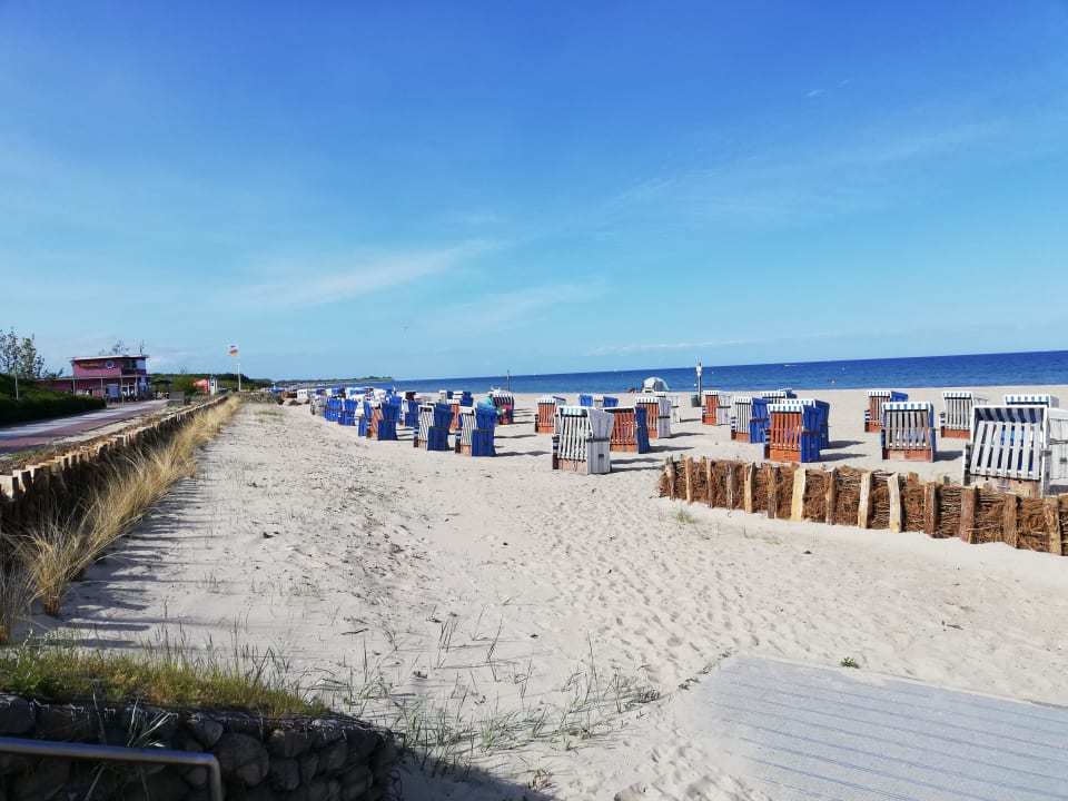 Strand Ferienhauspark Asgard in Damp