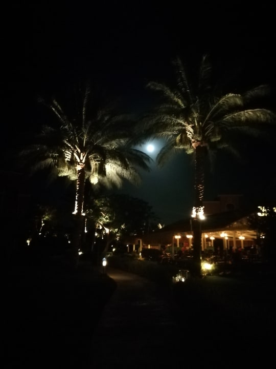 Gartenanlage Sentido Caribbean World Soma Bay